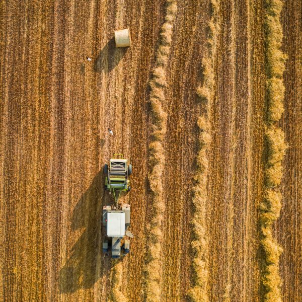 Top view of tractor pressing hay. Agriculture in Poland. Harvest in summer