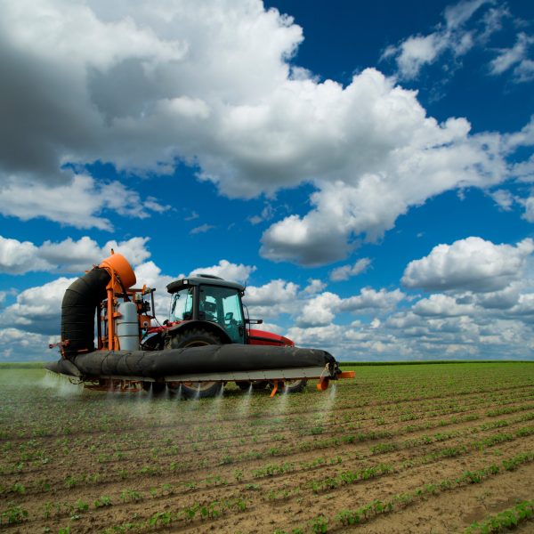 Tractor spraying soybean crops field at spring season, herbicides, pesticides
