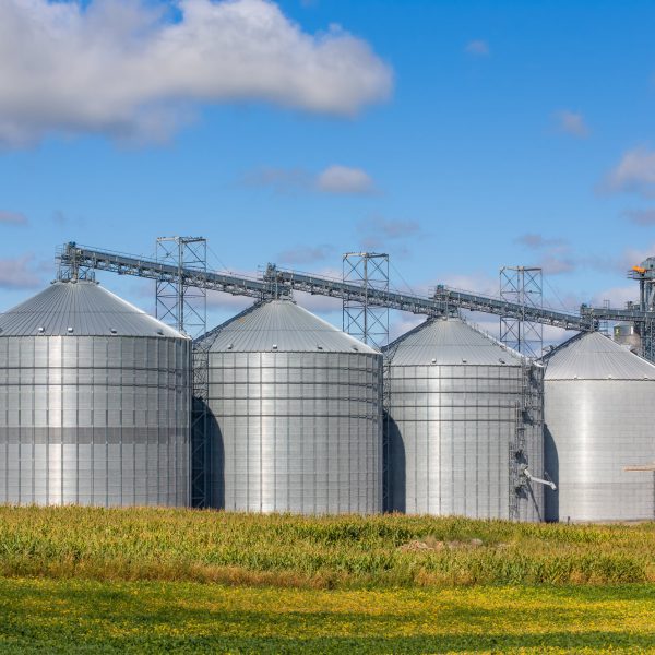 Five round metal grain elevator bins in corn fileld in the United States.